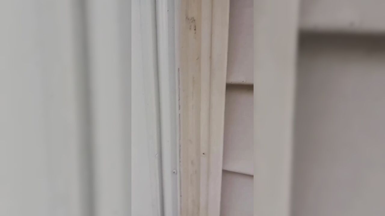 Landlord Gives Tenant Cock Rating