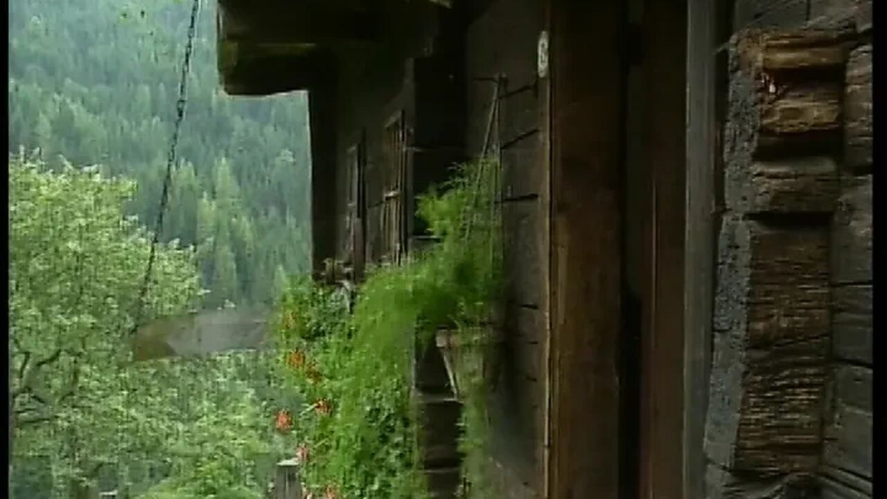 Miss Helene (1991)