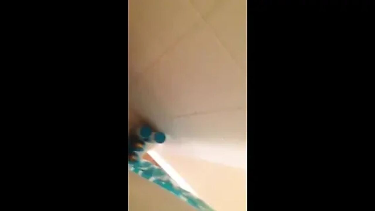 Shower Playtime