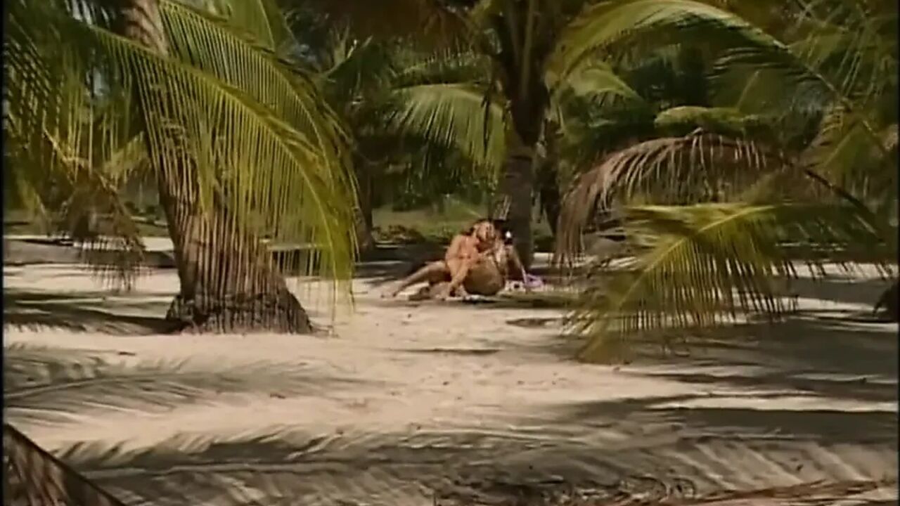 Love on the beach...pussy licking pussy fucking, orgasm in mouth