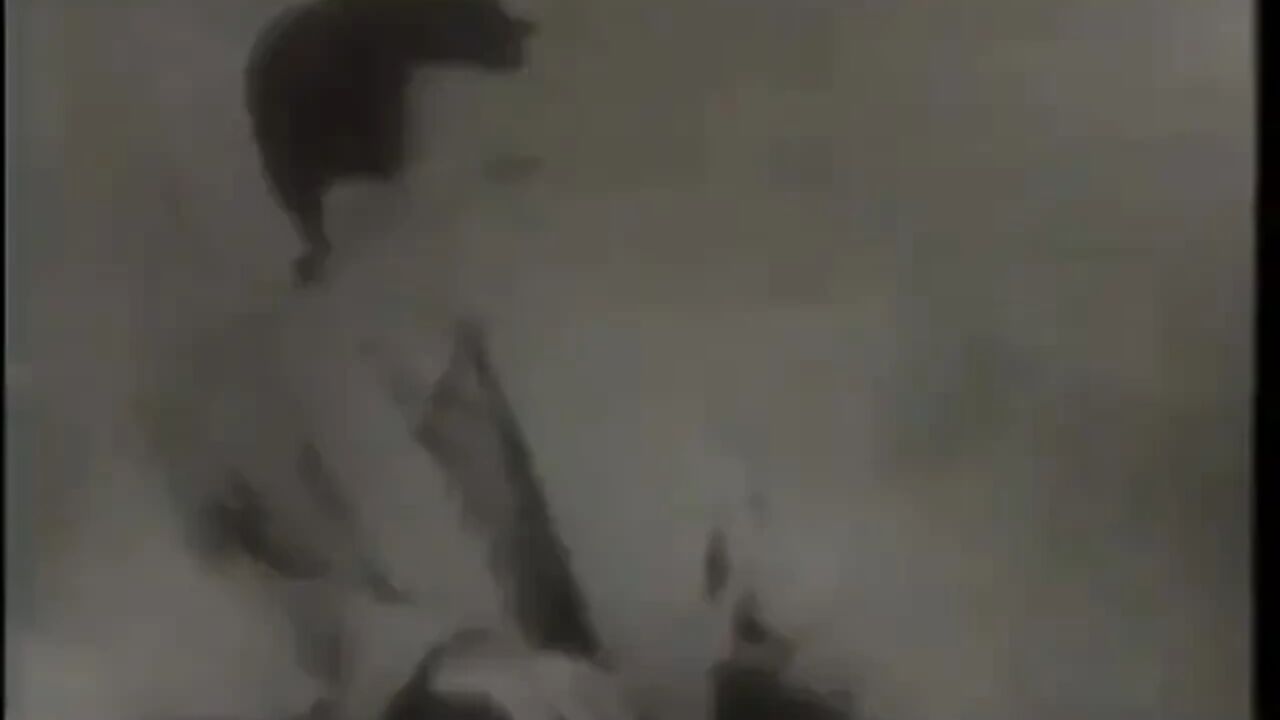 More Desire for Cock