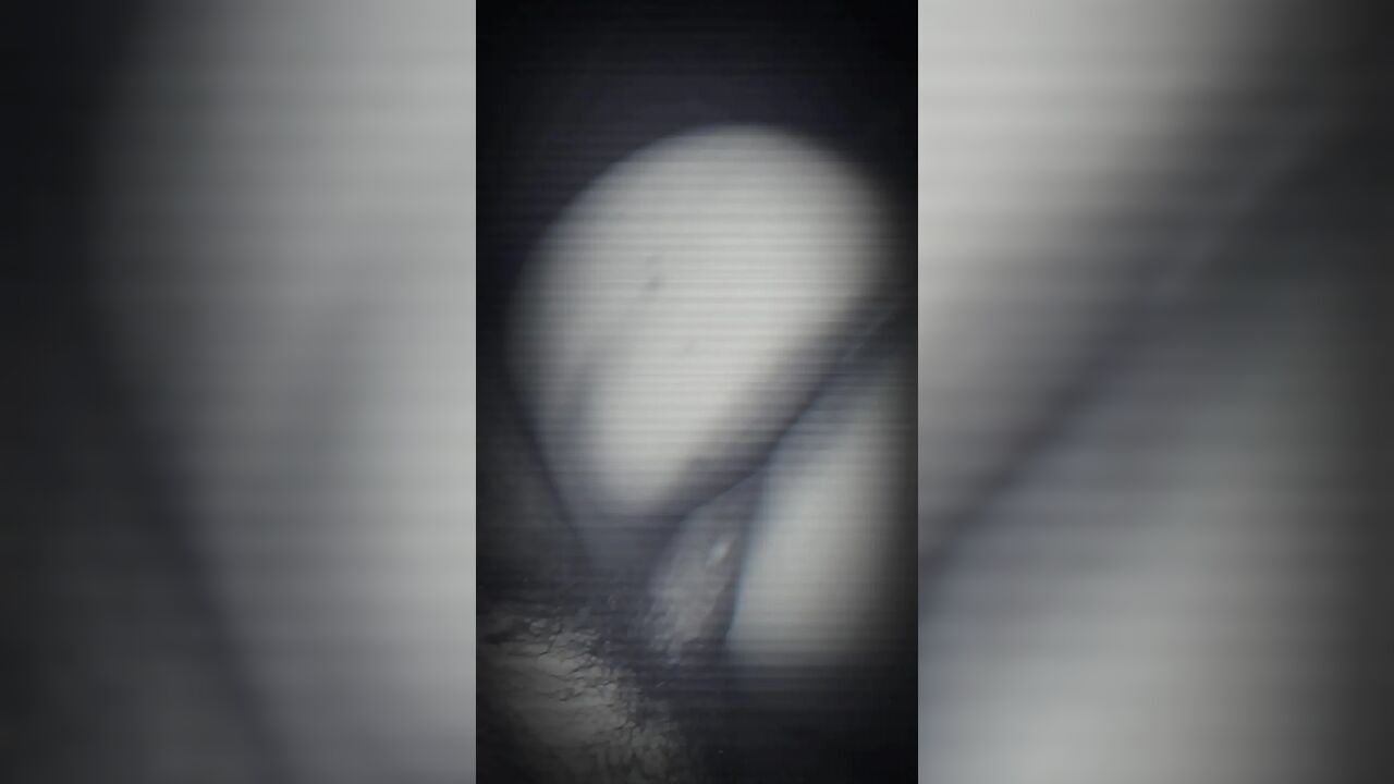 Big ass Latina getting the BWD