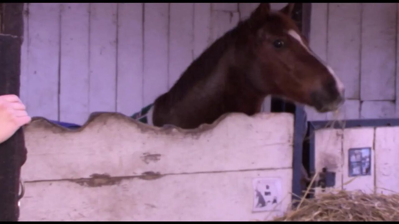 Amatuer German babe rides dick in the barn