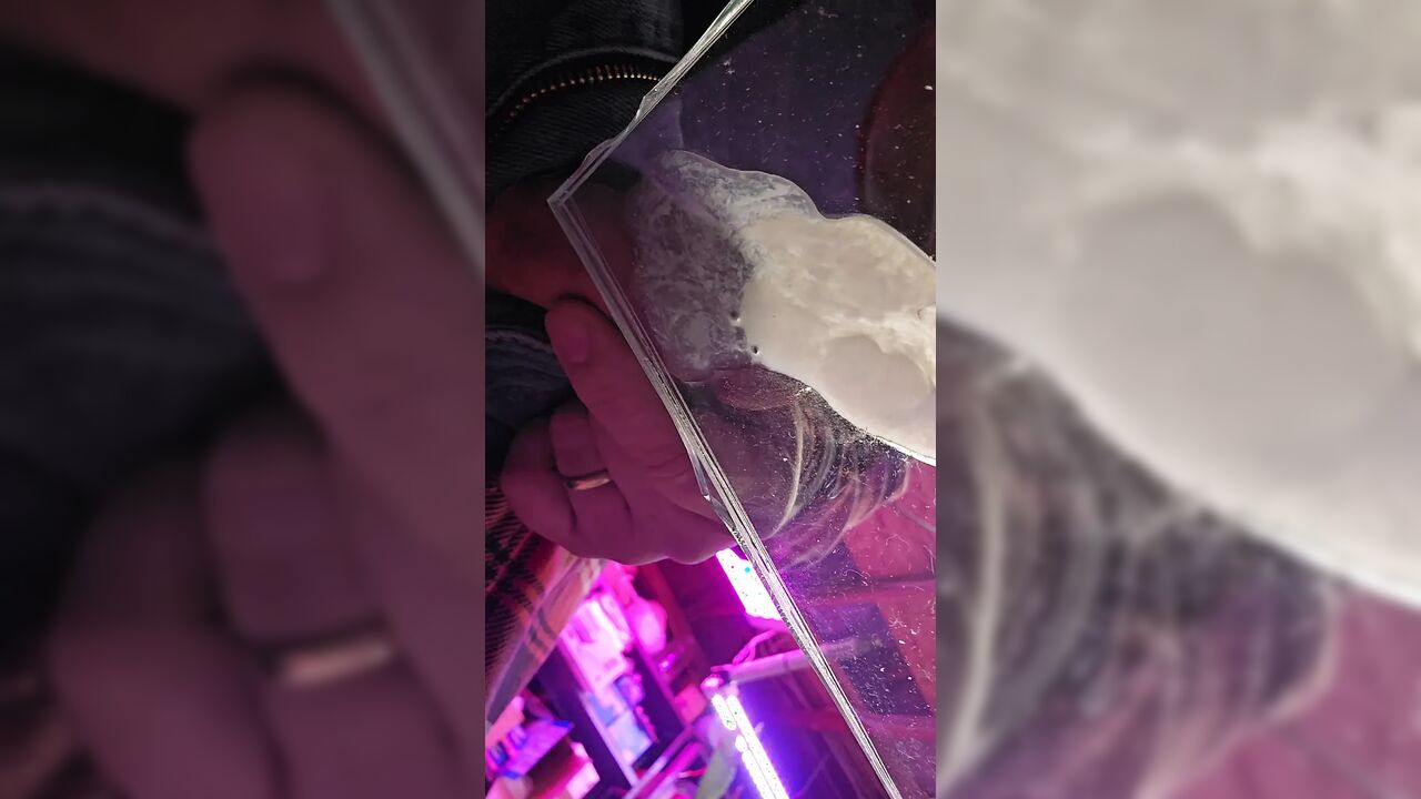 Cum from below
