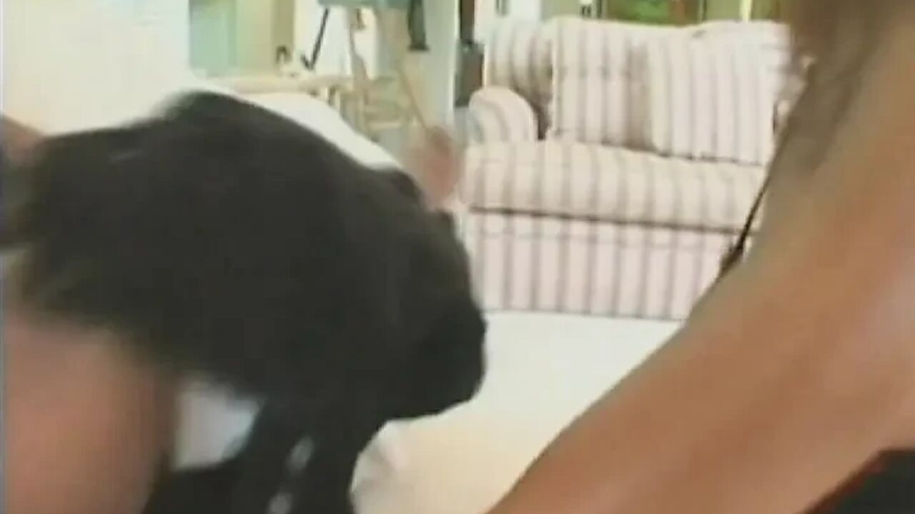 Big boobed French whore gets her black ass banged hard