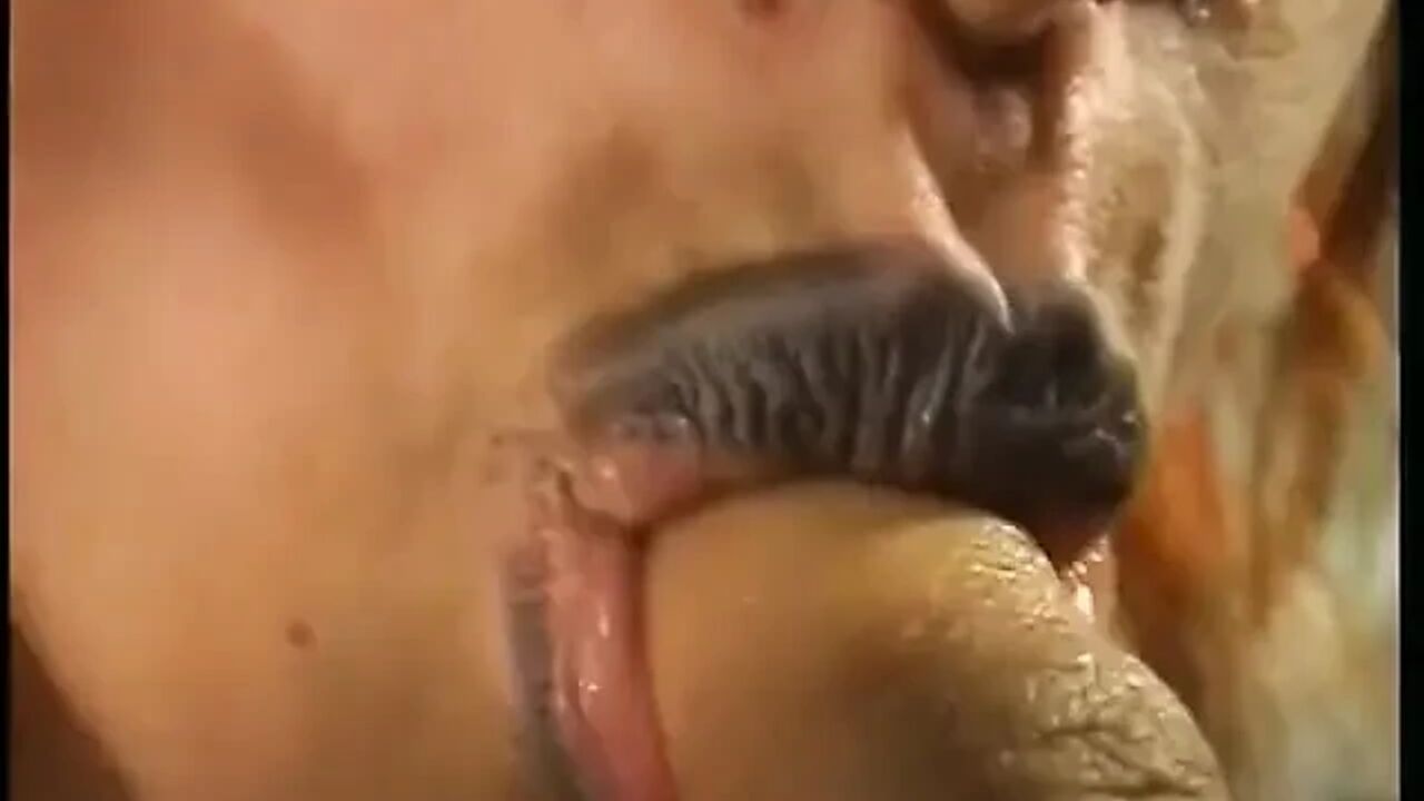 Solo sex of an amateur milf showing her wet pussy