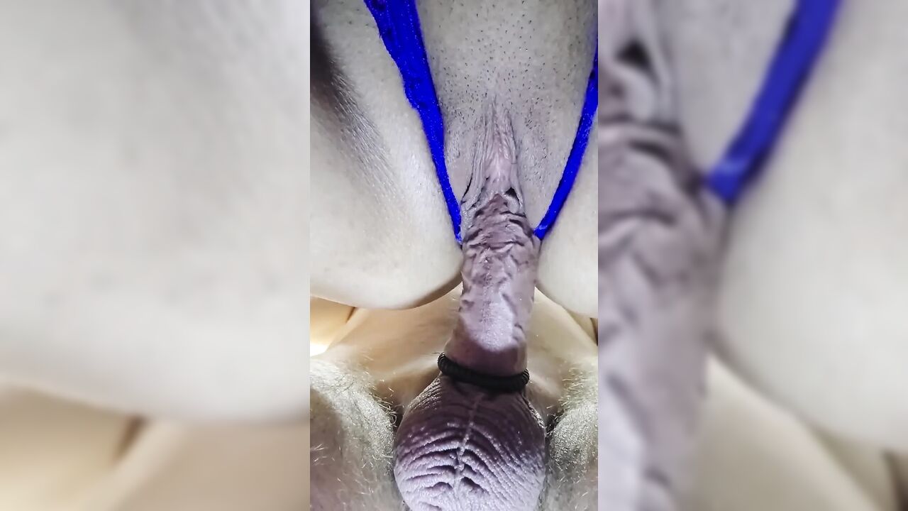 Close up of Hot Latina Pussy Penetrated by Hard Cock