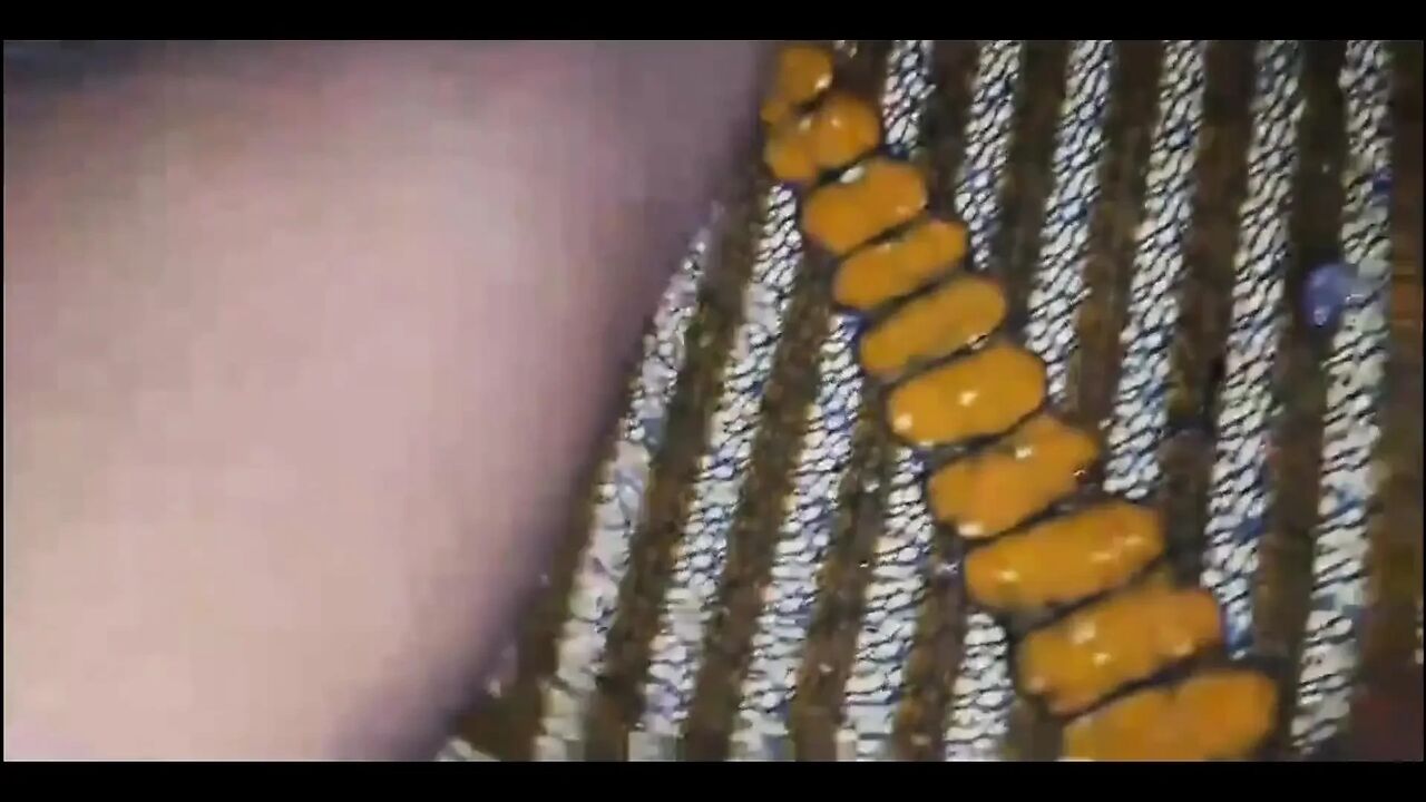 Creampie and Dripping - Deep Anal in Her Place