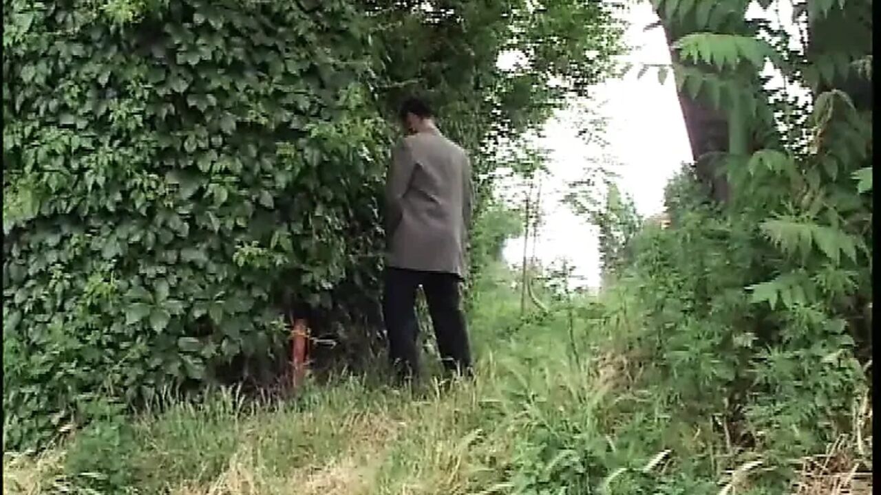 Wild Cougar Takes the Hard Cock