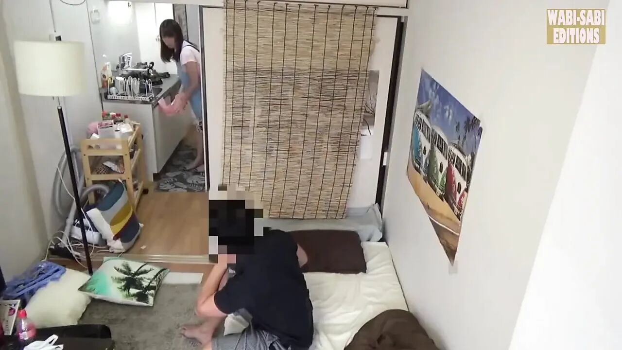 Housekeeper Rental Service Rumored to Offer More Than Just Cleaning - 2