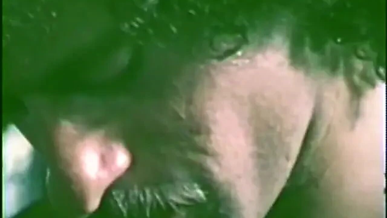 Lovely hairy chicks love threesome vintage fuck