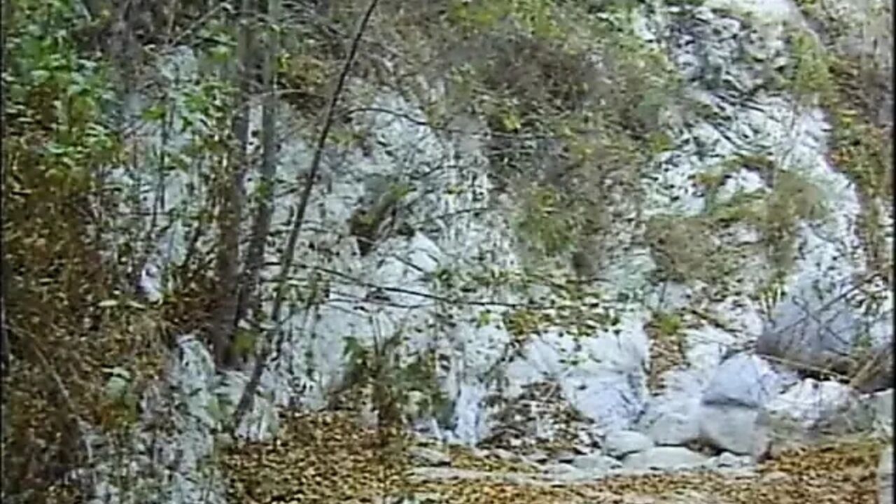Sexy blonde big cock sucking double penetrated threesome ass fucking