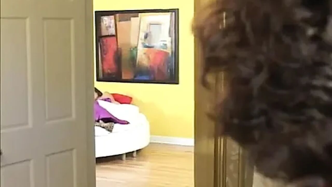 Asian lesbians pussy licking fingering