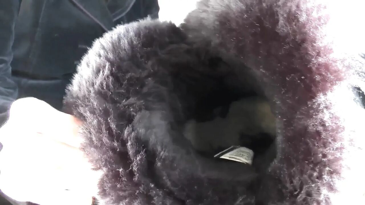 Extremely Stinky Feet From Fur Boots! Sniffing Boots and Foot Fetish Fucking, Lady Victoria Valente