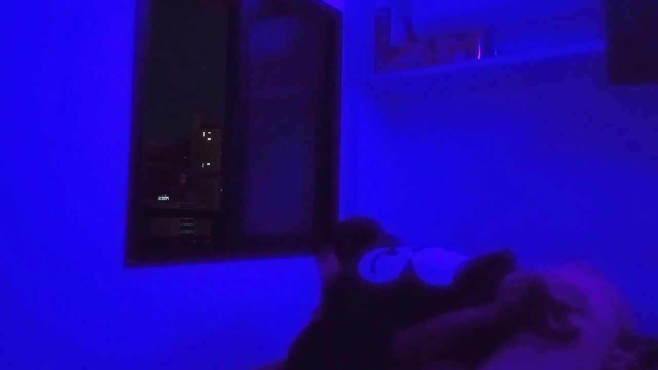 Fucking in New Year 2024 Midnight Ft. Amber Kai