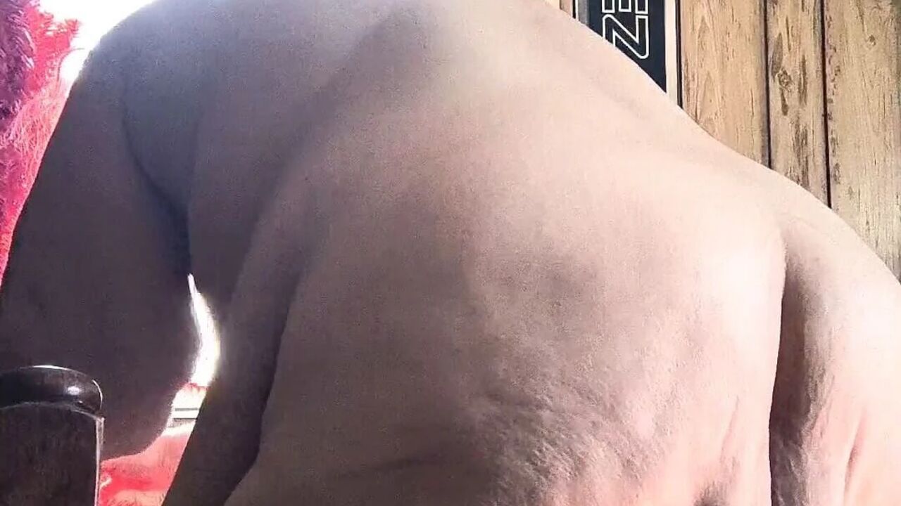 Putting up Her Tree Sky High Makes U Cum Hard in Her Eye What a Nice Guy