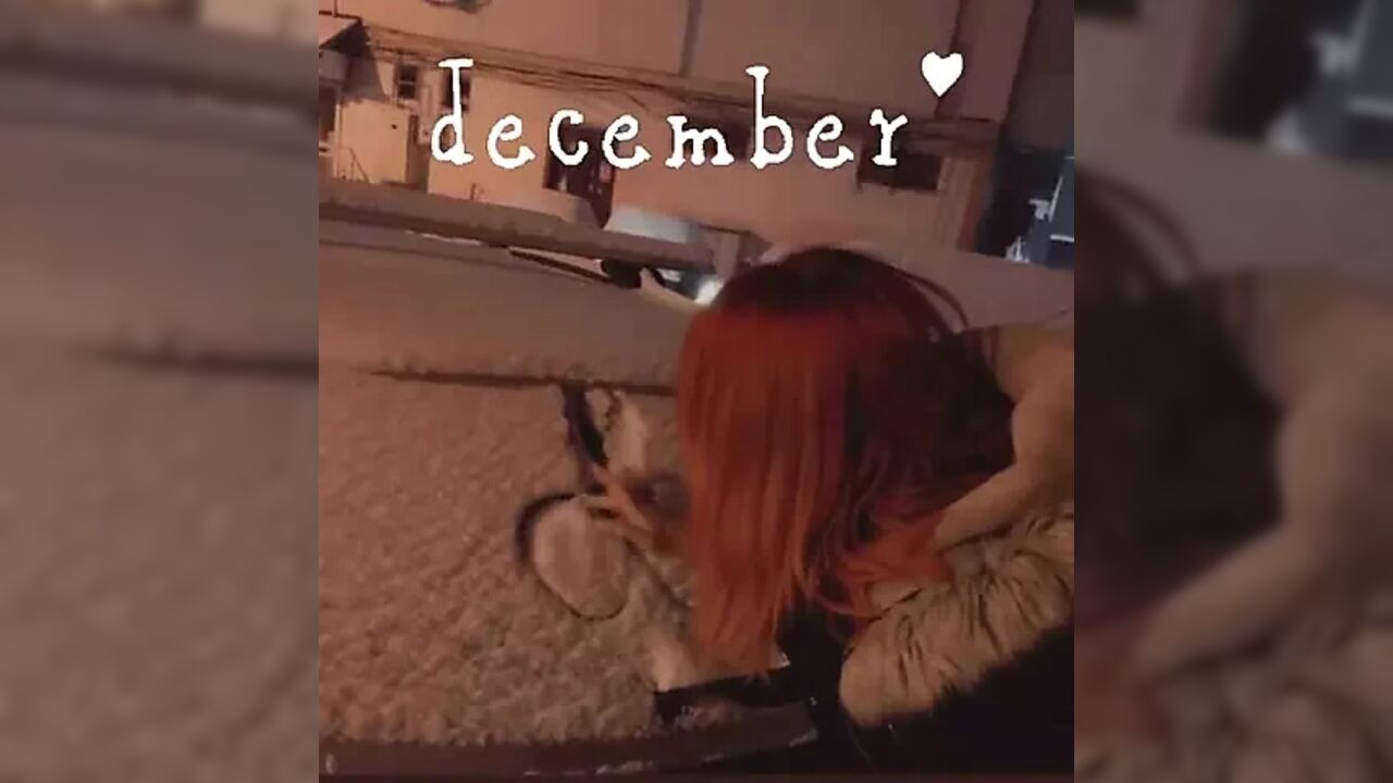 GingerPie_ video