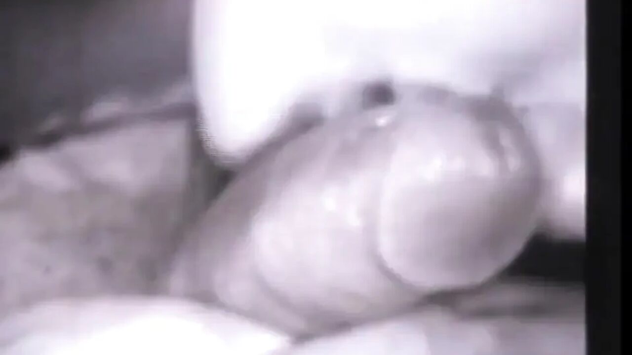 Vintage licking hairy pussy fucking