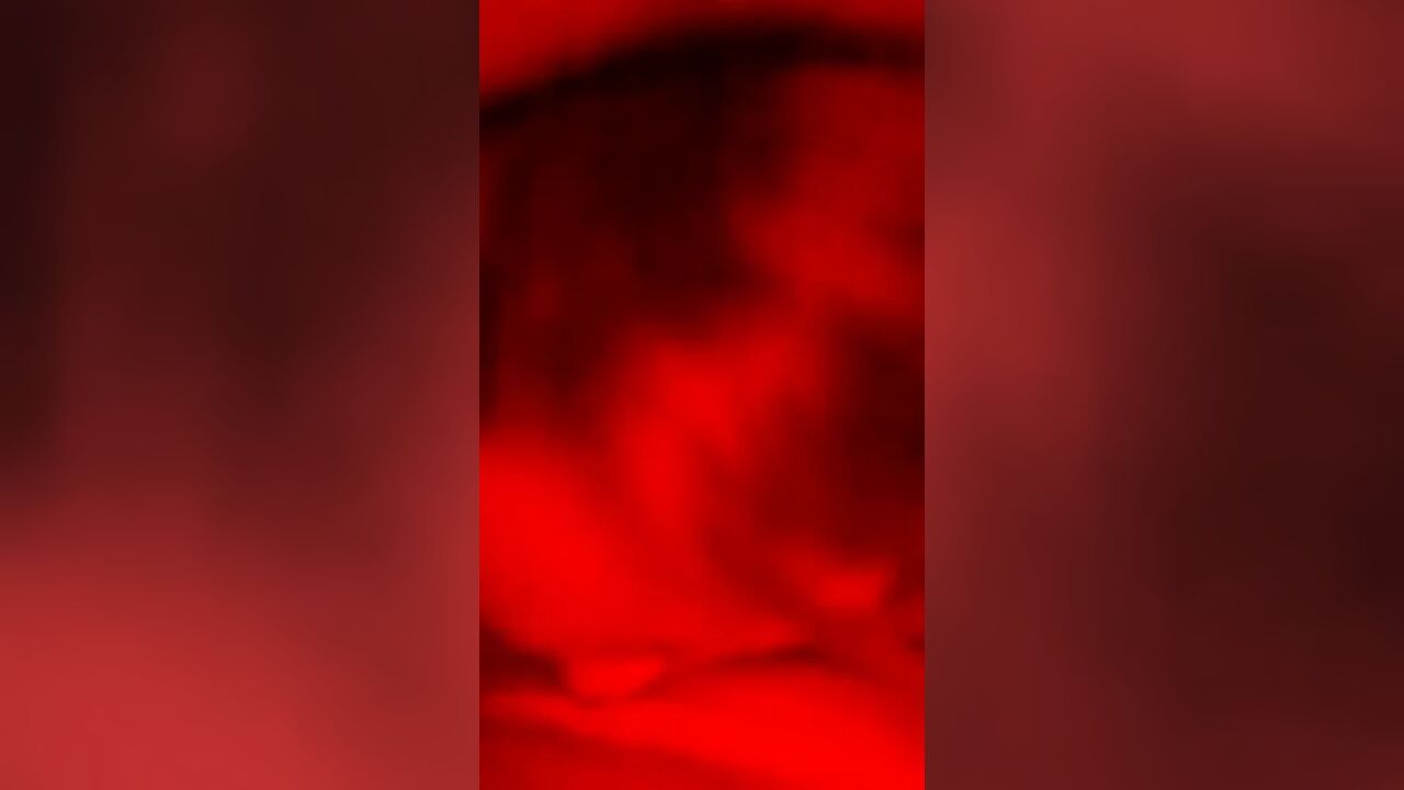 The Best at Sucking Cock!!!