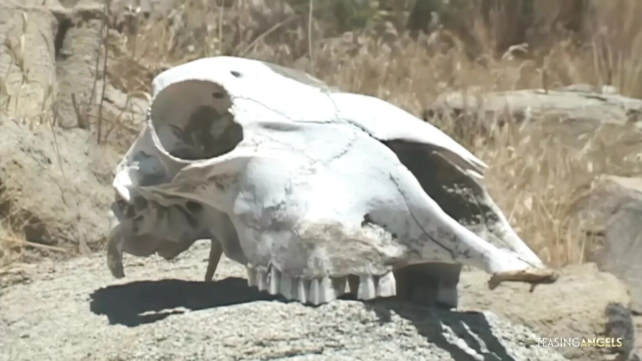 They got this blonde bitches bag so she ended up in a wild desert orgy.
