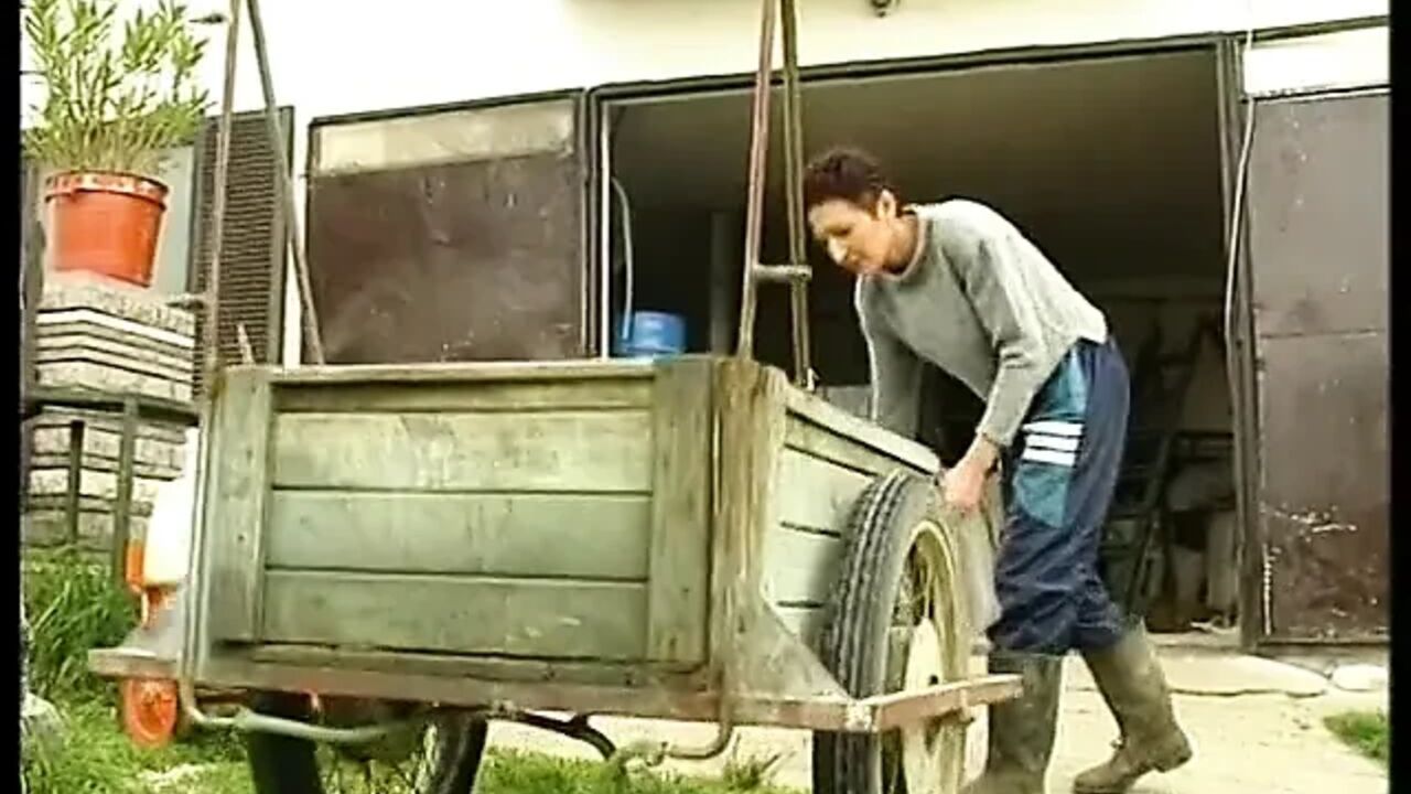 Short hair mature slut rides guy's big and hard prick