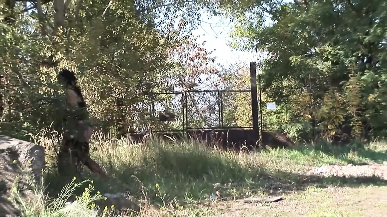 Fuck in the open air