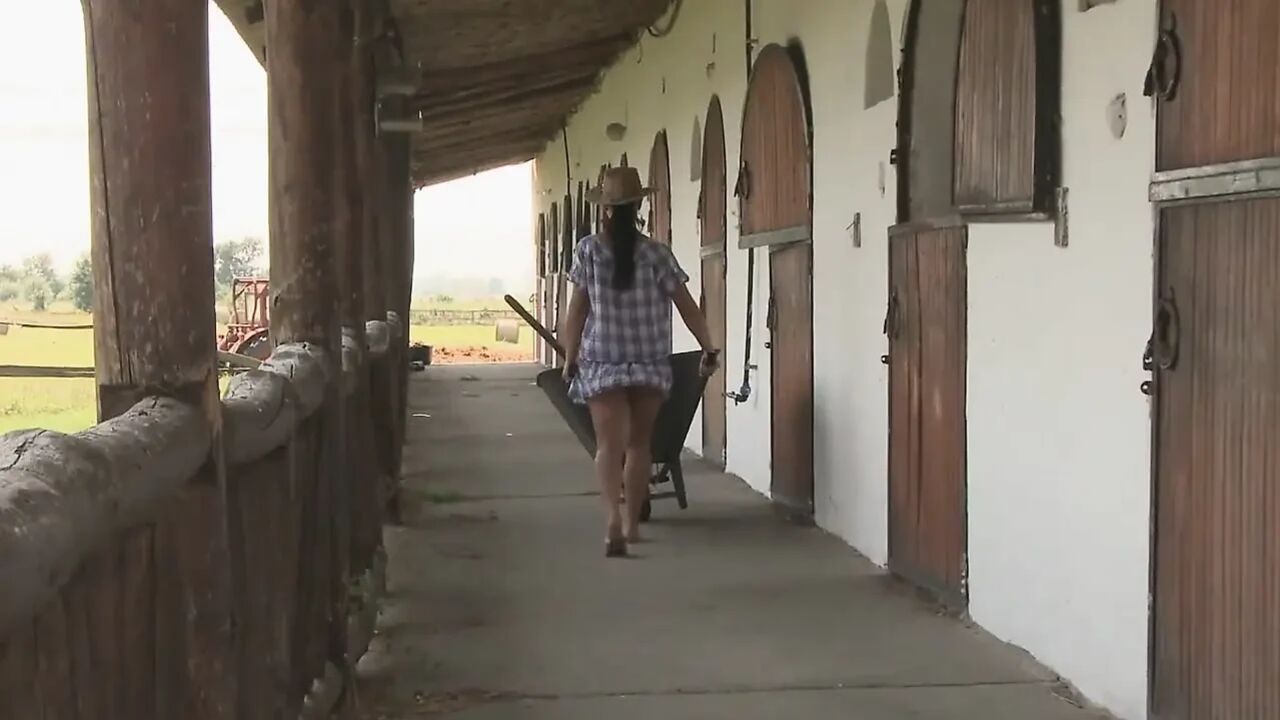 Quick outdoor sex