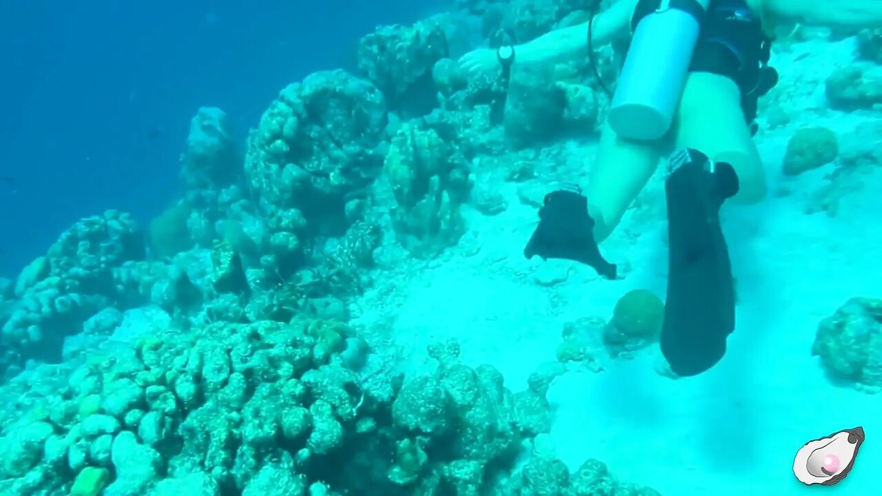 Alone Time in Bonaire