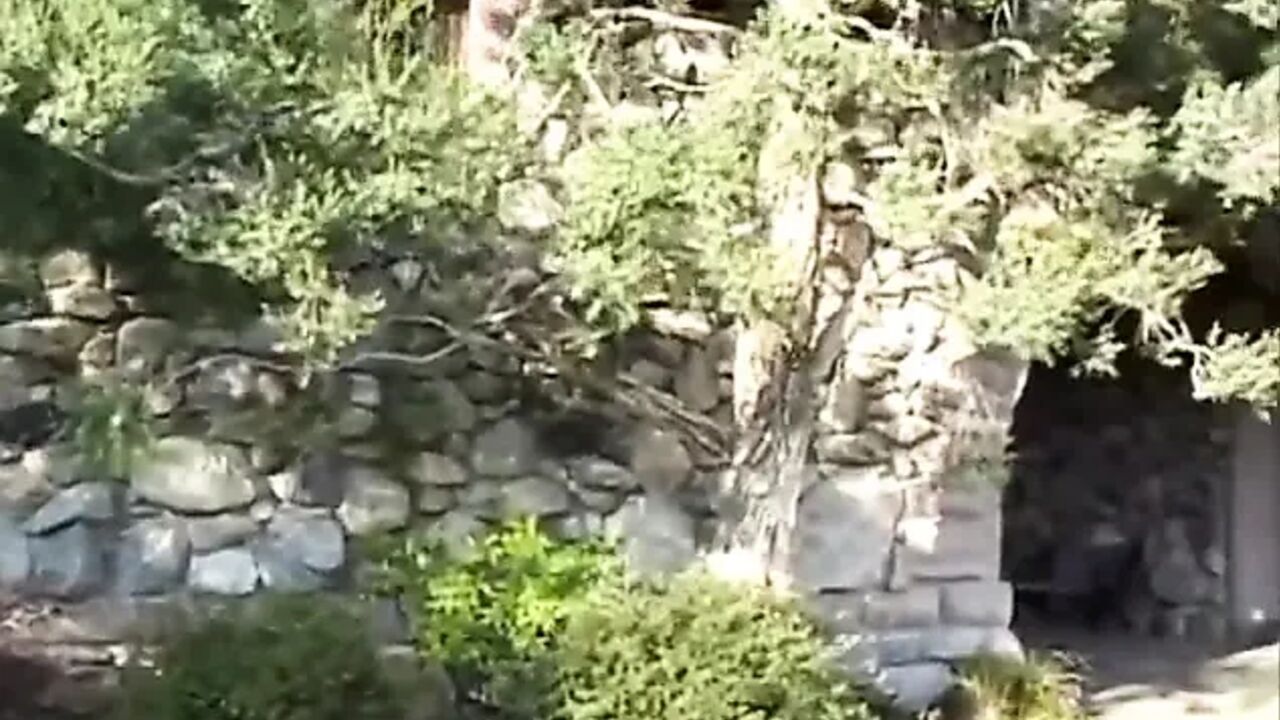 Tattooed petite fucking in the castle garden