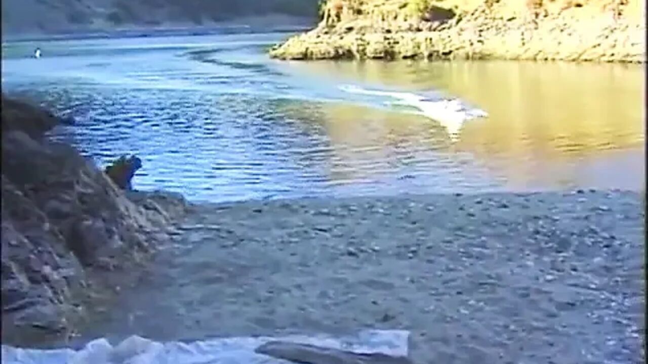 Threesome fucking on the beach