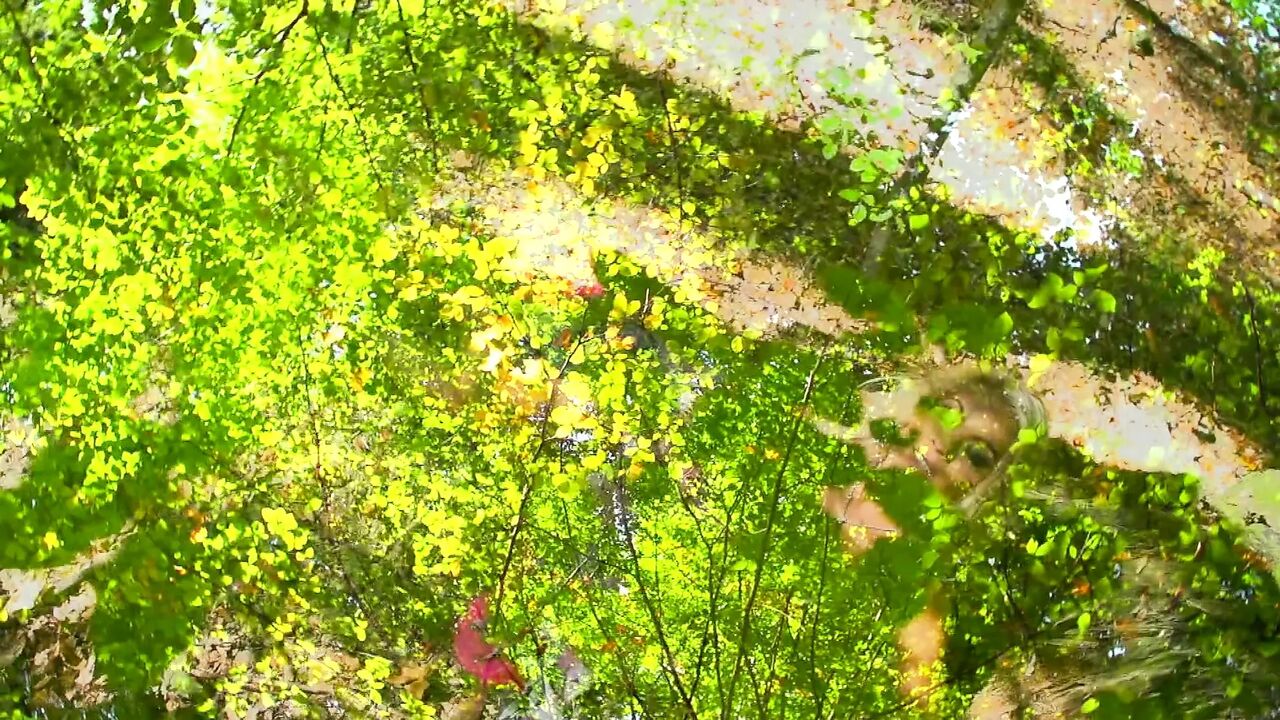 Young German couple enjoys outdoor fucking wherever they go - more scenes of their sex
