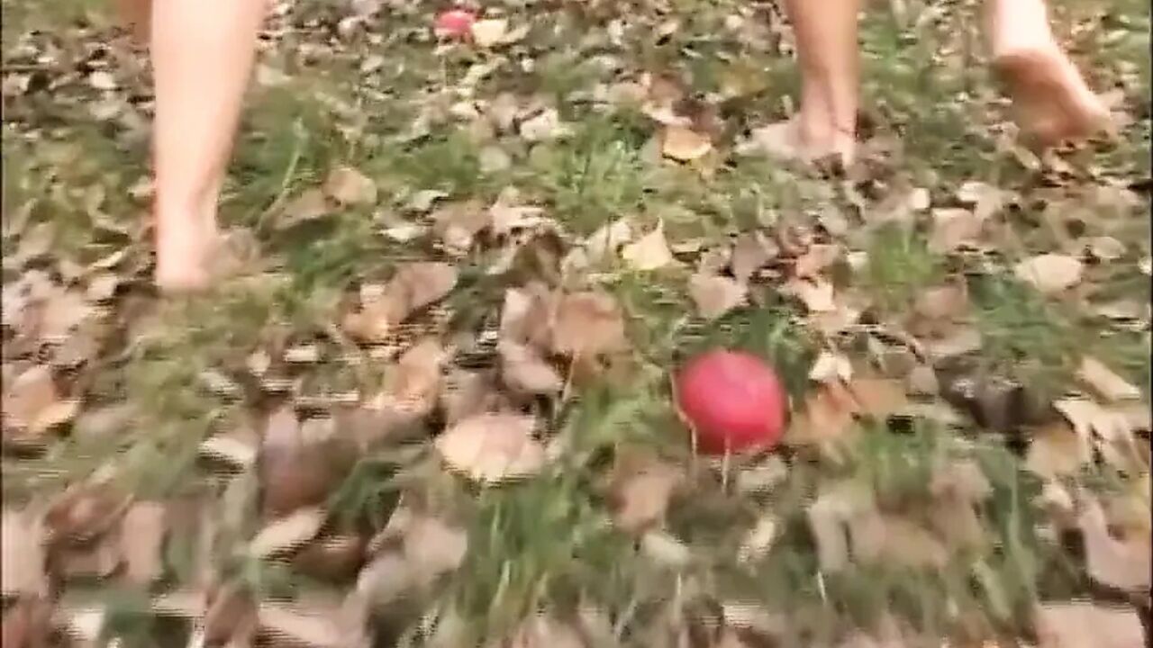 Blonde milf fucking garden sex