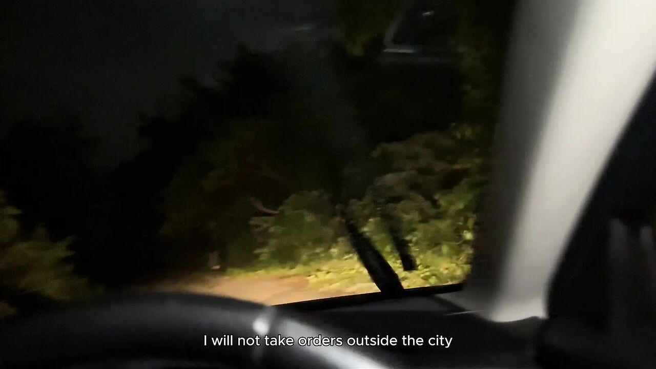 The Alt Girl Decided to Stretch Her Wet Holes with a Taxi Driver's Juicy Cock.