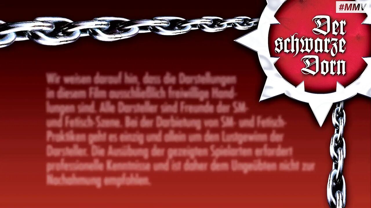 German femdom - BDSM girl & 2 slaves