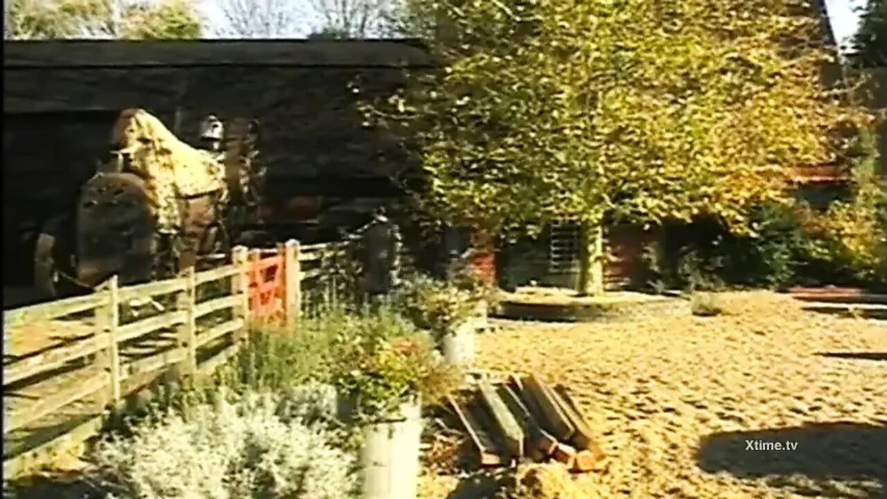 Epic vintage sex with a lot of big cocks!