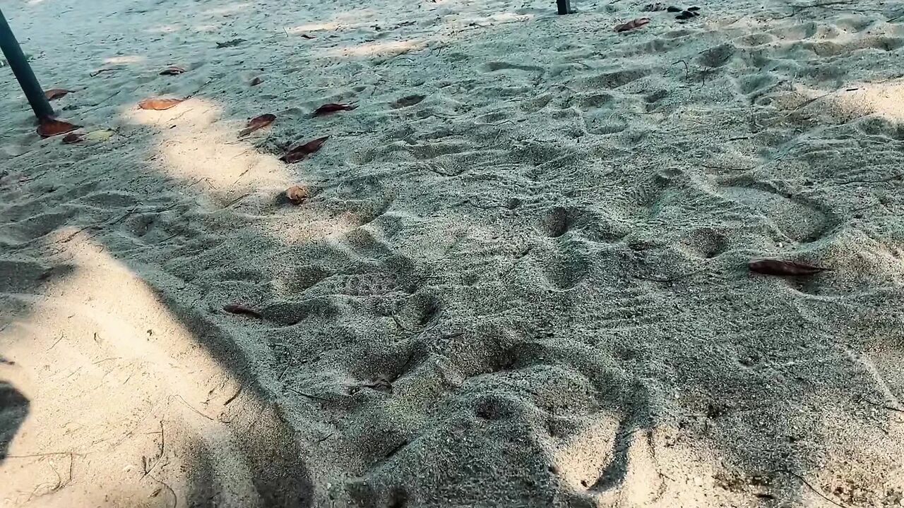 Girl Lost on the Beach Is Fucked by a Tour Guide
