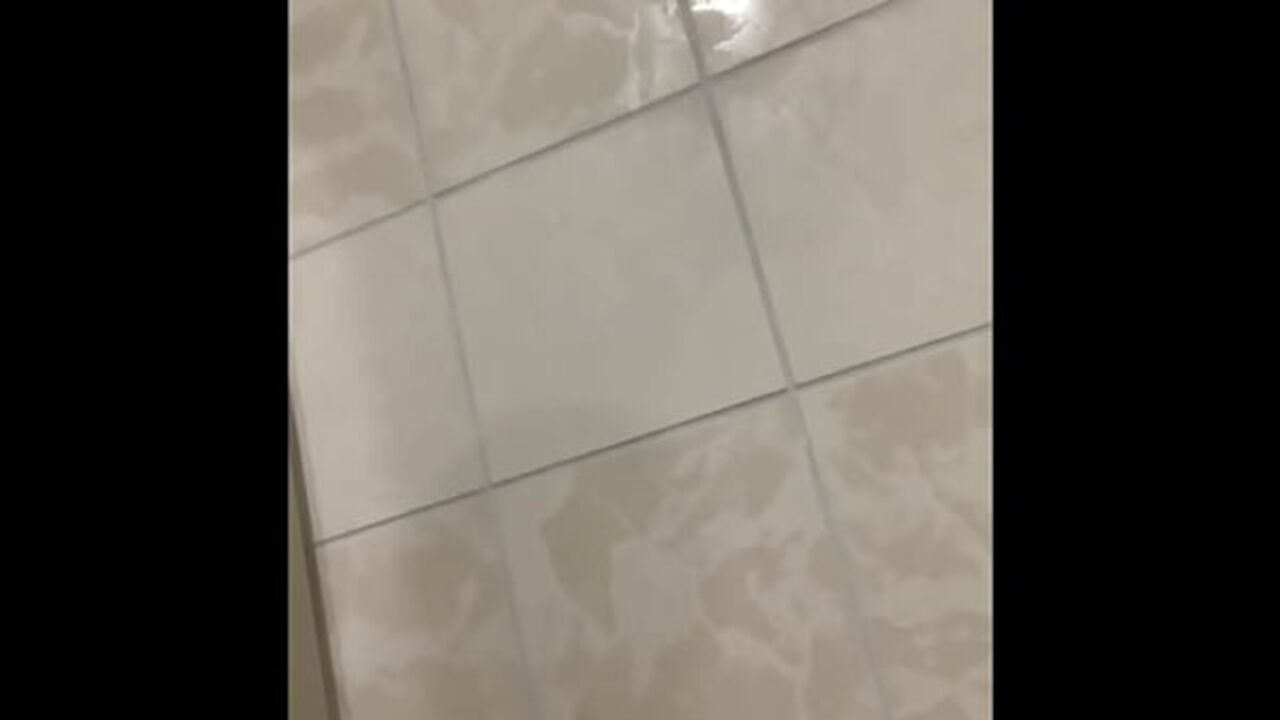 Public Toilet Exhibitionist