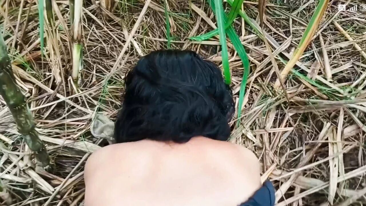 Gaon wali bhabhi ki chudai ganne ke khet mein Indian sex video