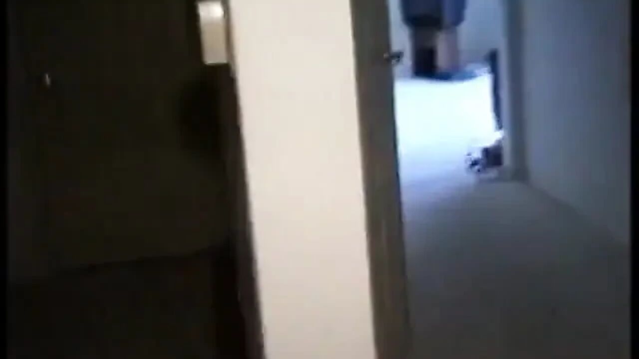 Hot Brunette Ass Pounded by Two Guys in Milan