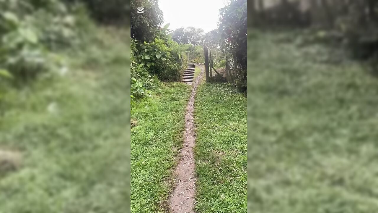 Neighbor sucks it tasty