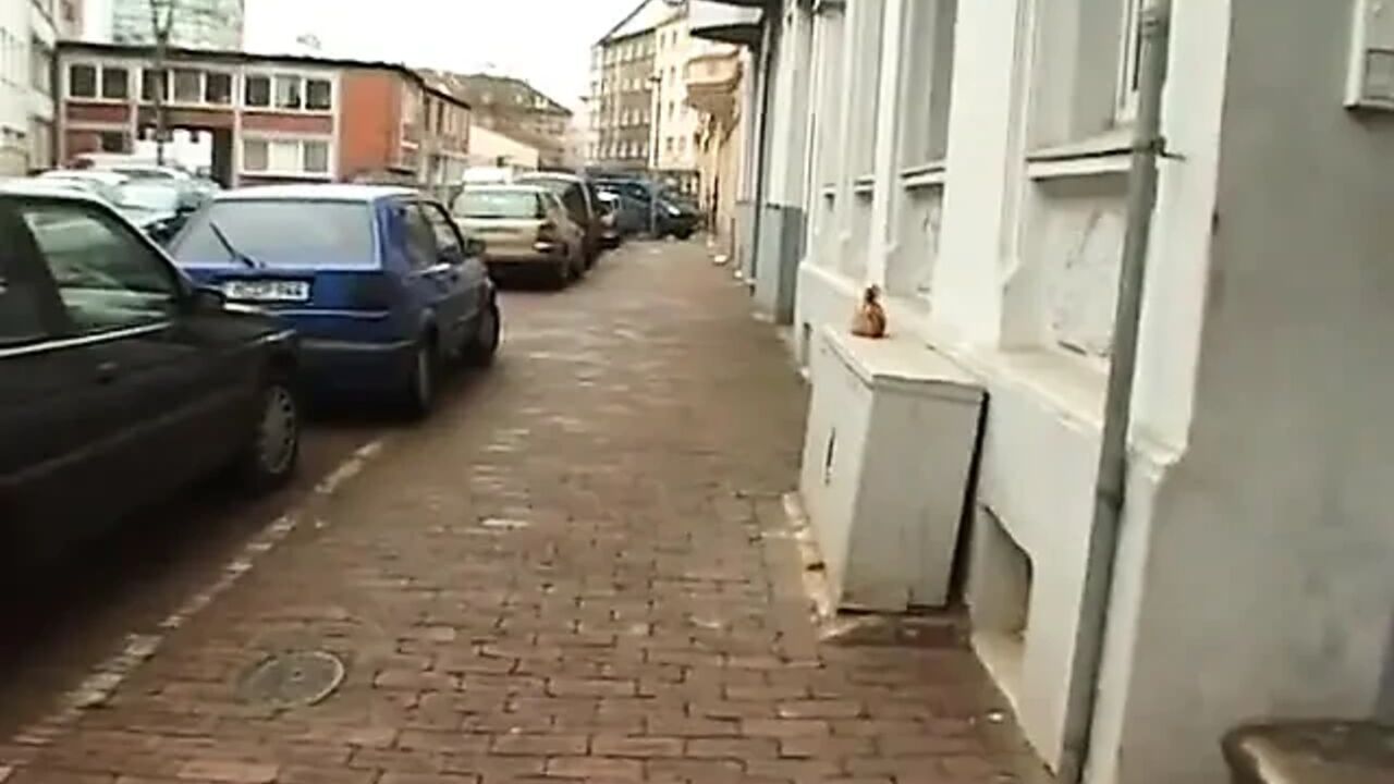 A pick up outdoor for a young student girl