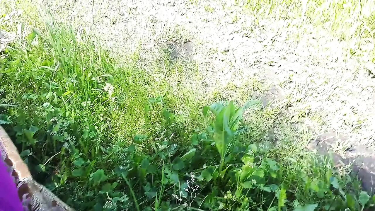 He Came to Fuck with His Mistress in the Forest