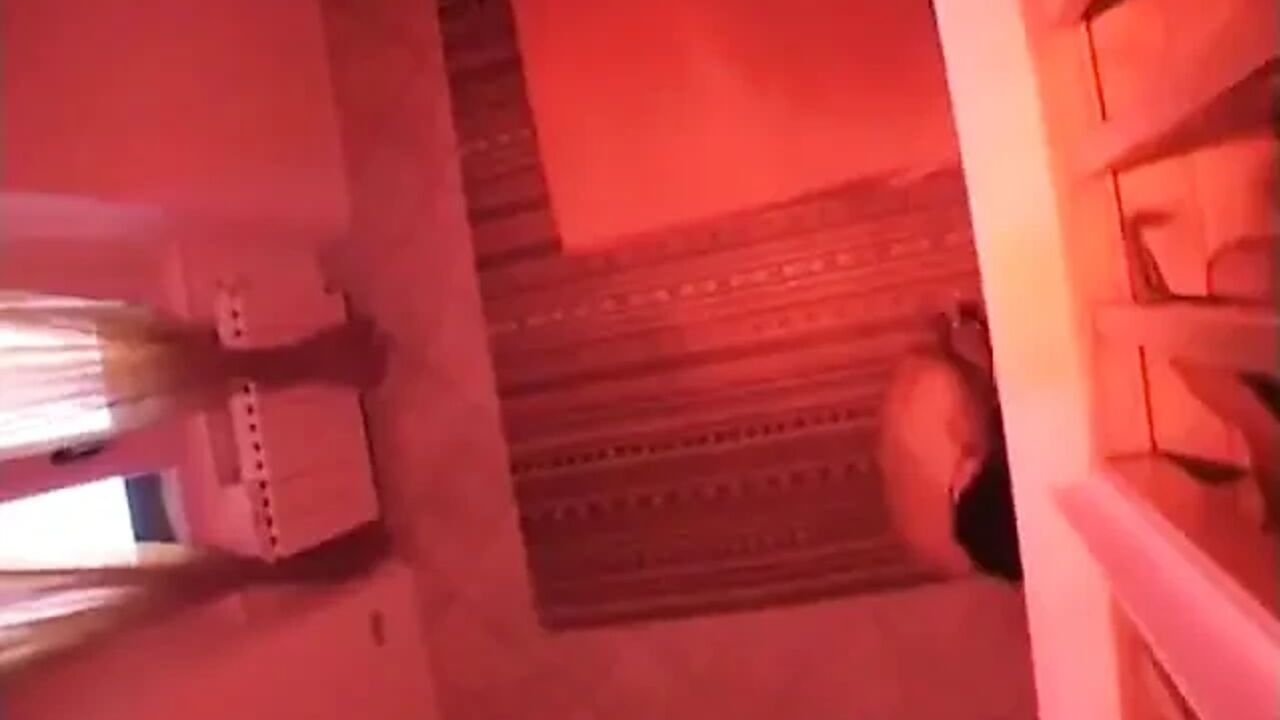Real Bitches in Heat