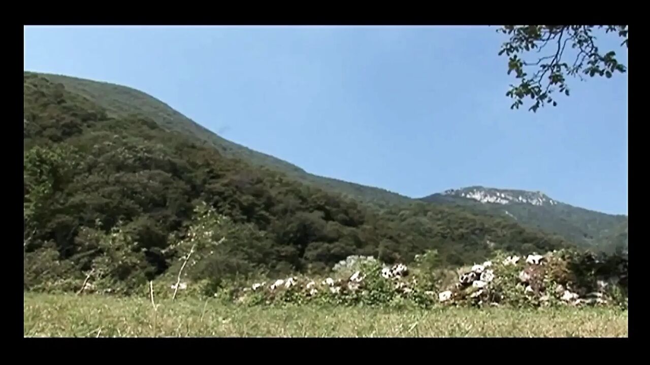 Girl with Big Tits Sucks and Fucks Big Mature Cock in the Mountains