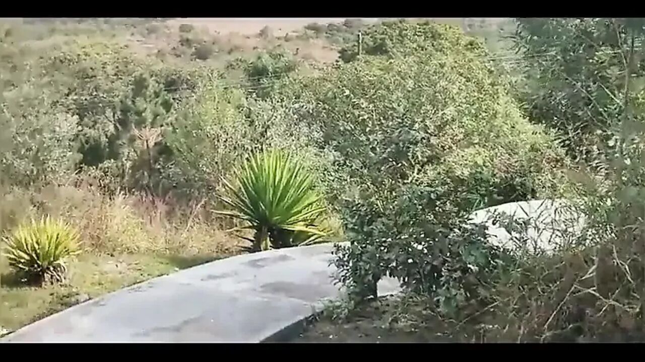 Trail, Waterfall and Lots of Public Sex!