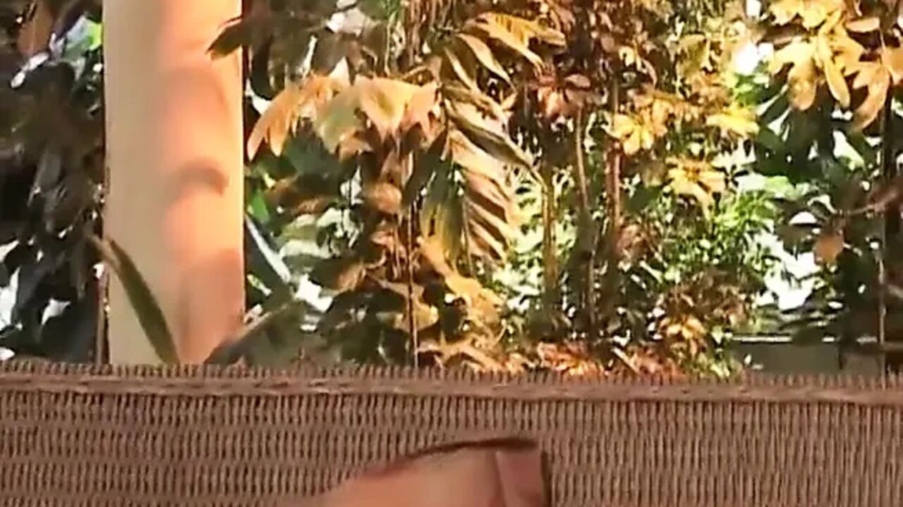 Sexy lesbian experience
