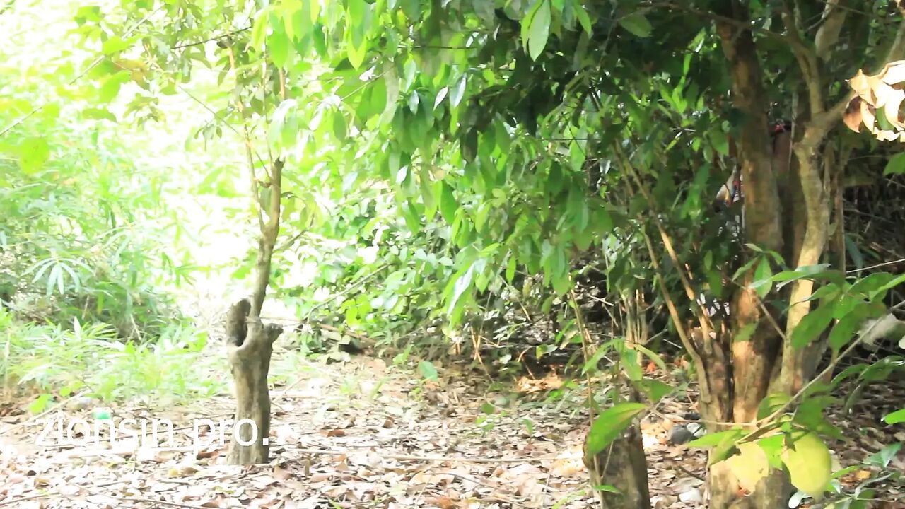 Very Black Man From Uganda Fuck Teen Big Boobs Girl Friend in Their Farmland