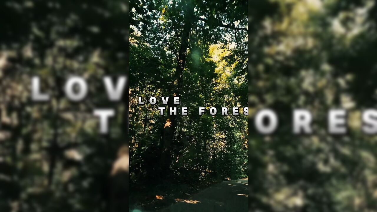on the Veluwe