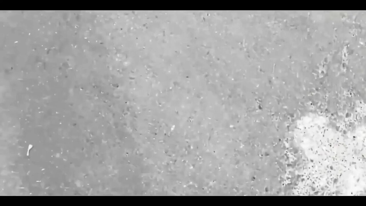 Stops Time to Fuck His Hot
