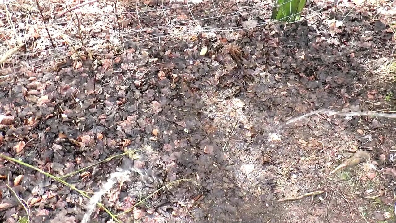 Lovely big ass chick anallly smashed